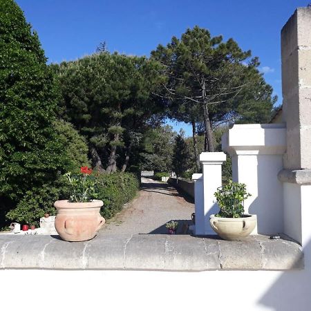 B&B Trulli E Mare Martina Franca Exterior photo